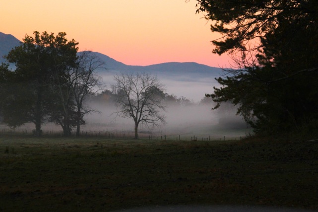 morningincadescove2