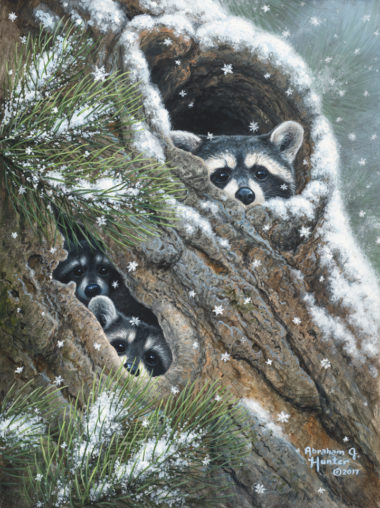 Peek-A-Boo