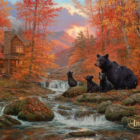 Mountain Cabin