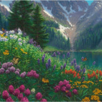 Alpine Meadow