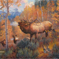 Colorado Bugling Bull