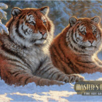 Tigers at Rest